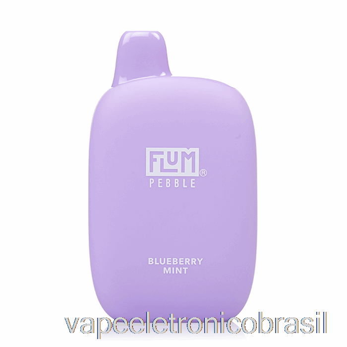 Vape Recarregável Flum Pebble 6000 Descartável Blueberry Mint